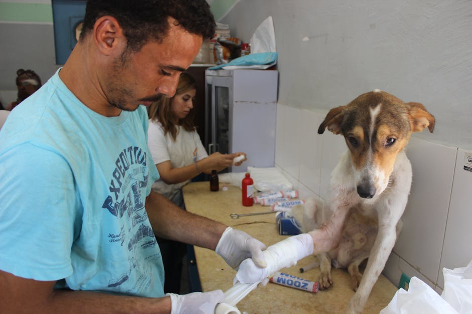 Mobile clinic service